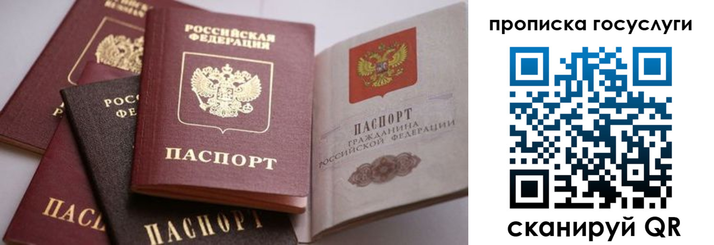 прописка иностранных граждан в Апатитах