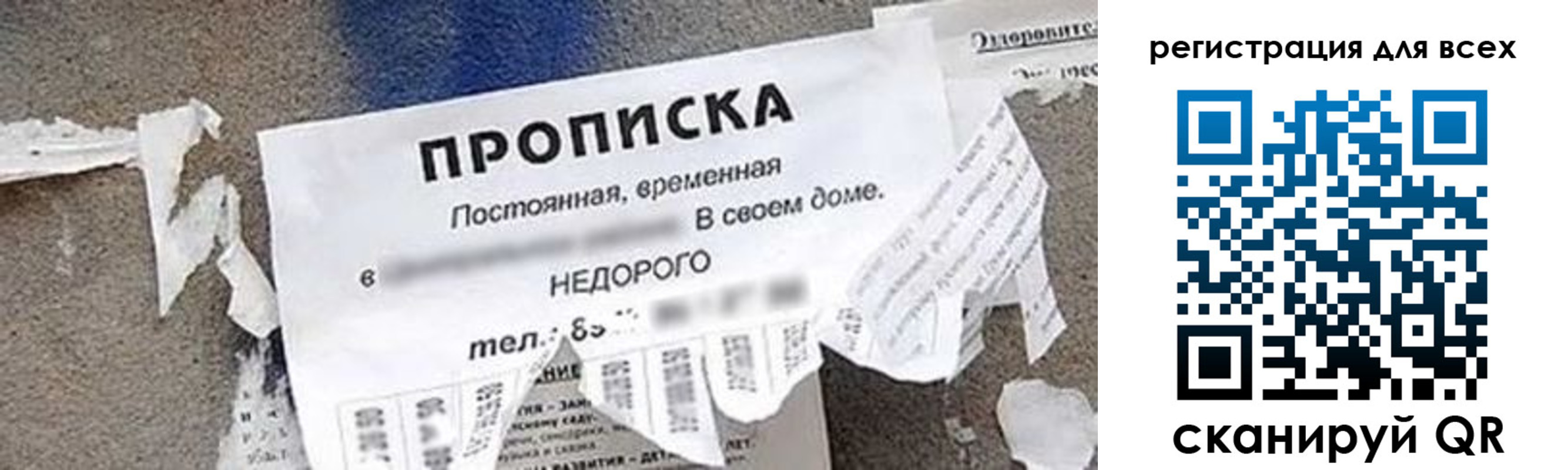 прописка поиск в Апатитах